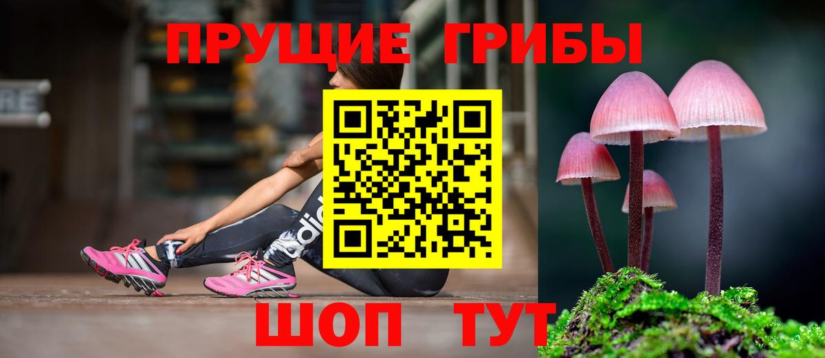 Ступино  Галлюциногенные грибы Psilocybe  Вход с VPN  Псилоцибиновые грибы MAGIC MUSHROOMS 